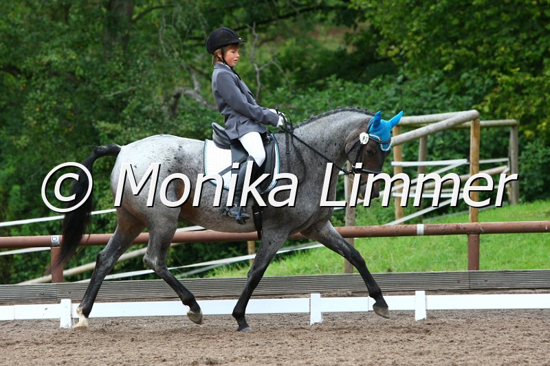 109M1811_Lettenhofs L_Duchess_Dresspferde_A.JPG